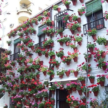 Centro Cordoba Apartaluz-8 Wifi Pk Екстер'єр фото